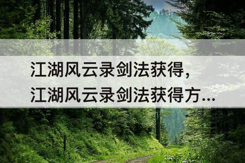 江湖风云录剑法获得，江湖风云录剑法获得方法