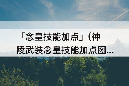 「念皇技能加点」(神陵武装念皇技能加点图)