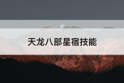 天龙八部星宿技能
