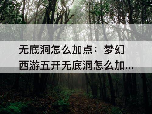 无底洞怎么加点：梦幻西游五开无底洞怎么加点