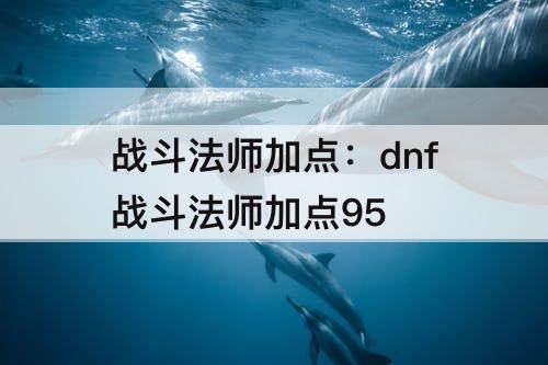 战斗法师加点：dnf战斗法师加点95