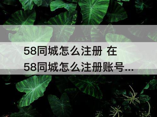 58同城怎么注册 在58同城怎么注册账号申请