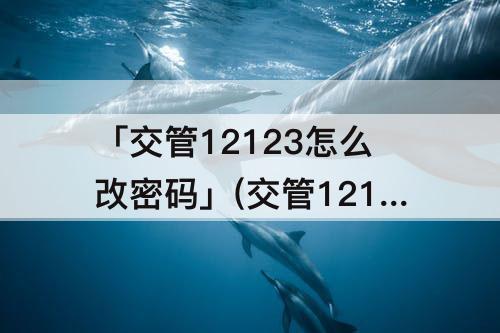 「交管12123怎么改密码」(交管12123怎么改密码?)