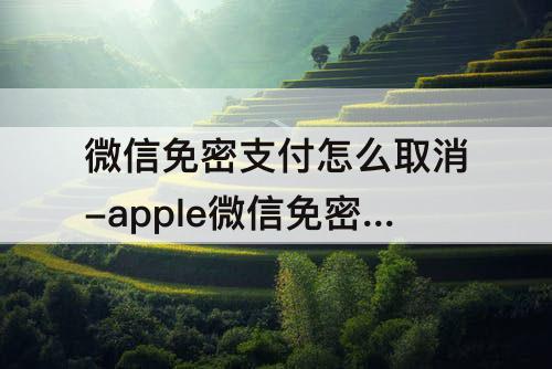 微信免密支付怎么取消-apple微信免密支付怎么取消安卓