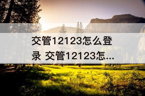 交管12123怎么登录 交管12123怎么登录不了怎么办