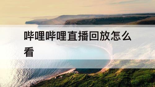 哔哩哔哩直播回放怎么看