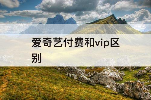 爱奇艺付费和vip区别