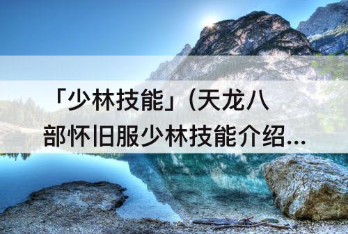 「少林技能」(天龙八部怀旧服少林技能介绍)
