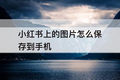 小红书上的图片怎么保存到手机