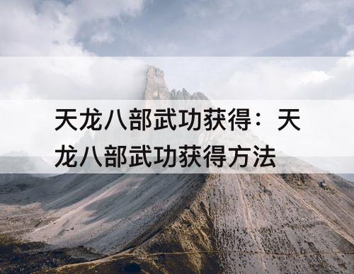 天龙八部武功获得：天龙八部武功获得方法