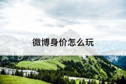 微博身价怎么玩