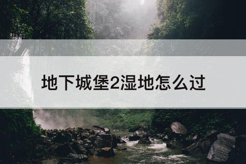 地下城堡2湿地怎么过