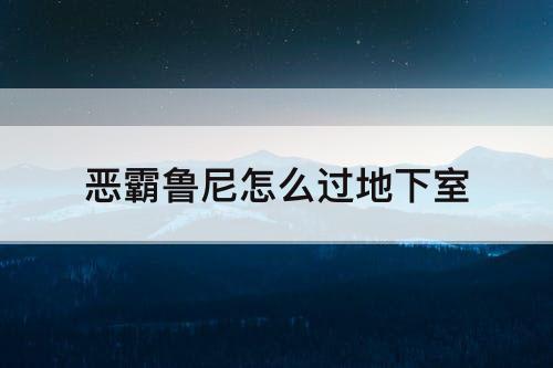 恶霸鲁尼怎么过地下室