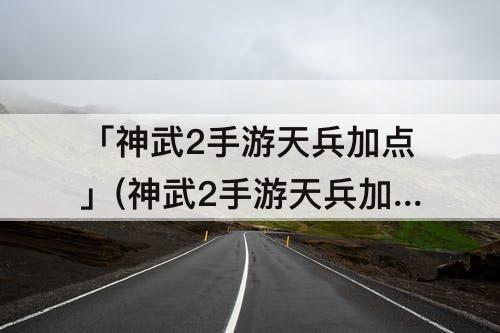 「神武2手游天兵加点」(神武2手游天兵加点怎么加)