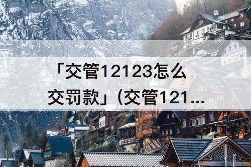 「交管12123怎么交罚款」(交管12123怎么交罚款上面显示处罚单和项目不符)