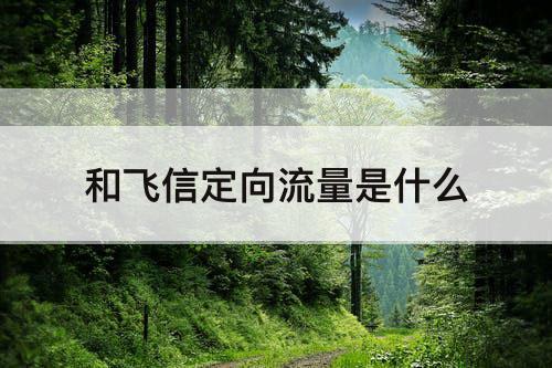 和飞信定向流量是什么