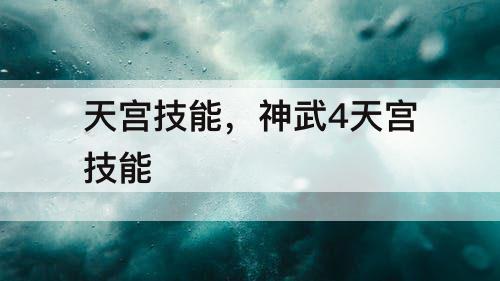 天宫技能，神武4天宫技能