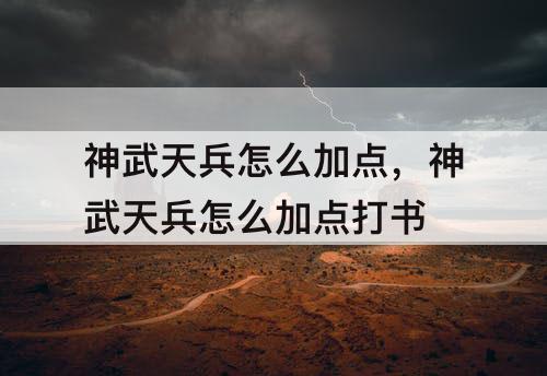 神武天兵怎么加点，神武天兵怎么加点打书