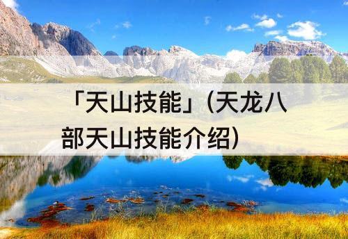 「天山技能」(天龙八部天山技能介绍)