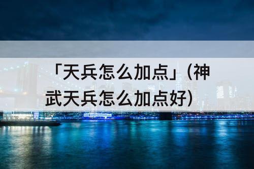 「天兵怎么加点」(神武天兵怎么加点好)