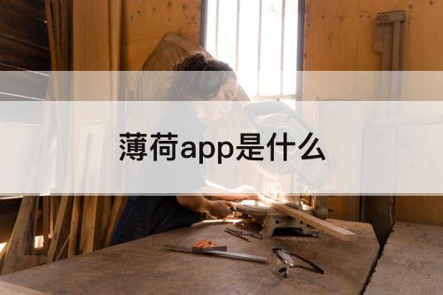 薄荷app是什么