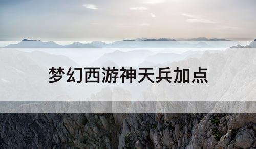 梦幻西游神天兵加点