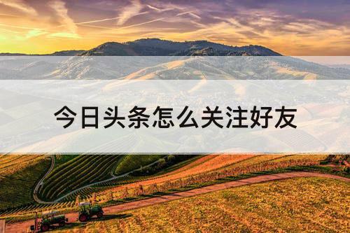 今日头条怎么关注好友