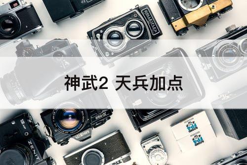 神武2 天兵加点