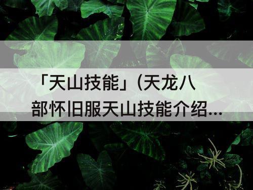 「天山技能」(天龙八部怀旧服天山技能介绍)