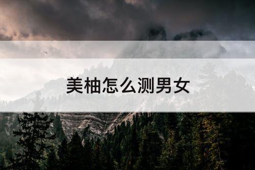 美柚怎么测男女