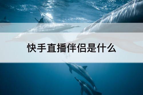 快手直播伴侣是什么
