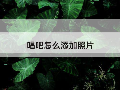 唱吧怎么添加照片