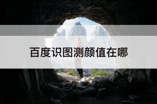 百度识图测颜值在哪