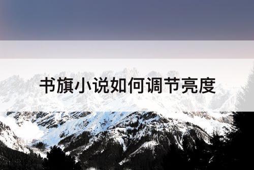 书旗小说如何调节亮度