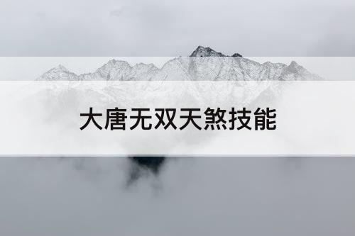 大唐无双天煞技能