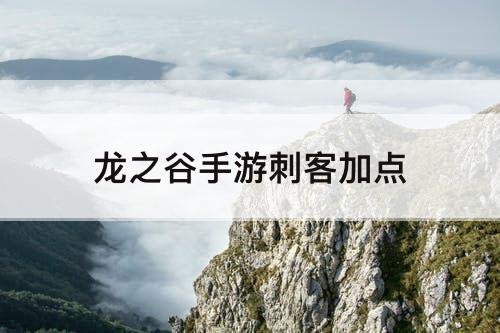 龙之谷手游刺客加点