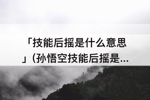 「技能后摇是什么意思」(孙悟空技能后摇是什么意思)