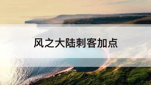 风之大陆刺客加点