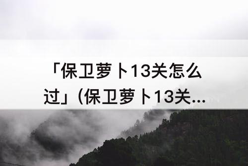 「保卫萝卜13关怎么过」(保卫萝卜13关怎么过图解法)