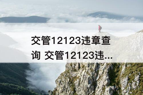 交管12123违章查询 交管12123违章查询几天出来