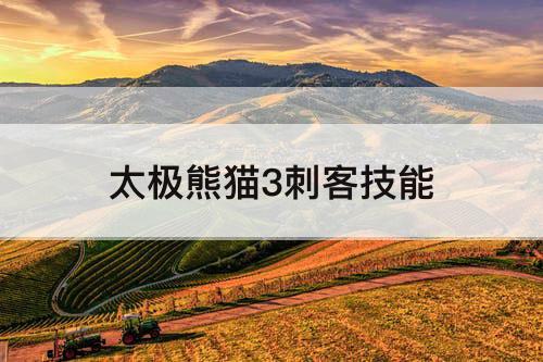 太极熊猫3刺客技能