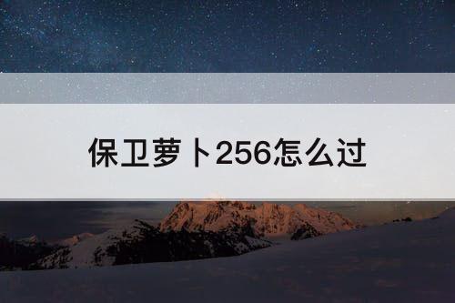 保卫萝卜256怎么过