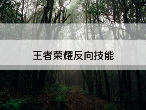 王者荣耀反向技能