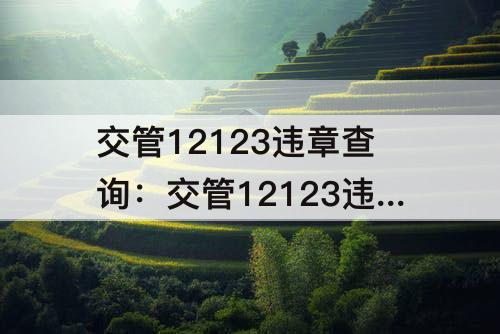 交管12123违章查询：交管12123违章查询处理平台