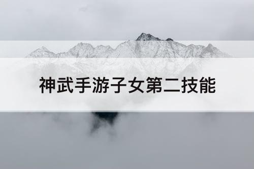 神武手游子女第二技能