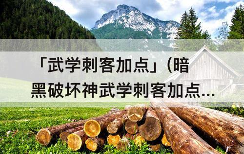「武学刺客加点」(暗黑破坏神武学刺客加点)