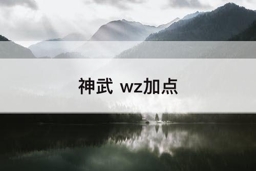 神武 wz加点