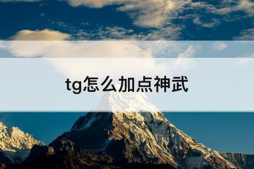 tg怎么加点神武