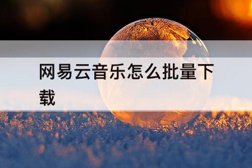 网易云音乐怎么批量下载