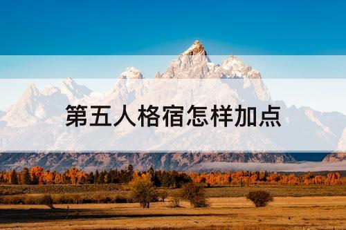 第五人格宿怎样加点